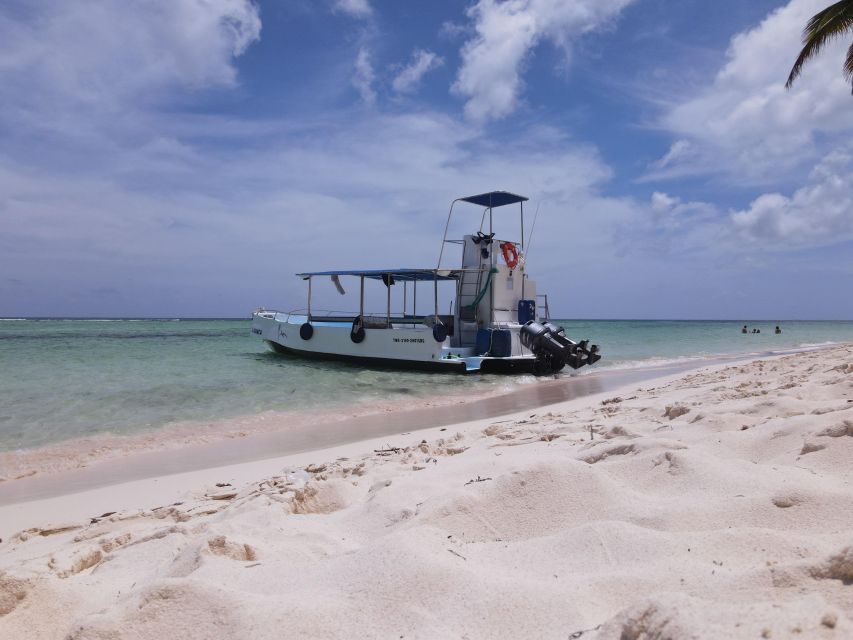 Saona Island: Beaches and Natural Pool Cruise With Lunch - Transportation and Value Ratings