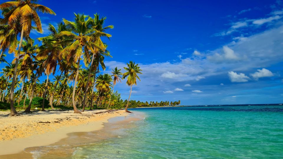 Saona Island: Full-Day All-Inclusive Tour - Transportation Details and Amenities