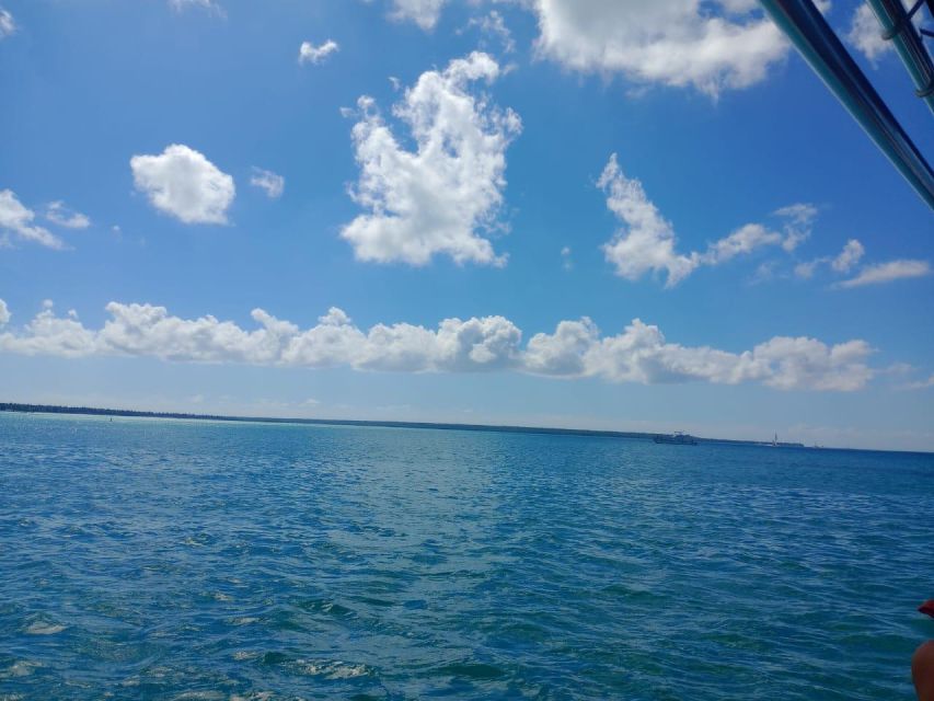 Saona Island: Highlights Tour With Catamaran and Speedboat - Last Words