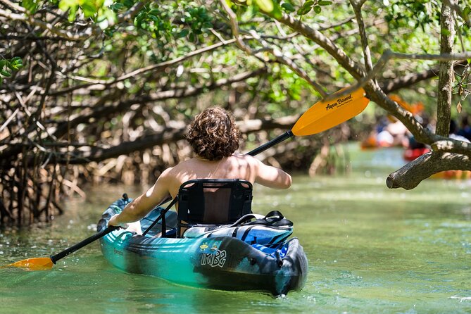 Sarasota Mangroves Kayaking Small-Group Tour (Mar ) - The Wrap Up