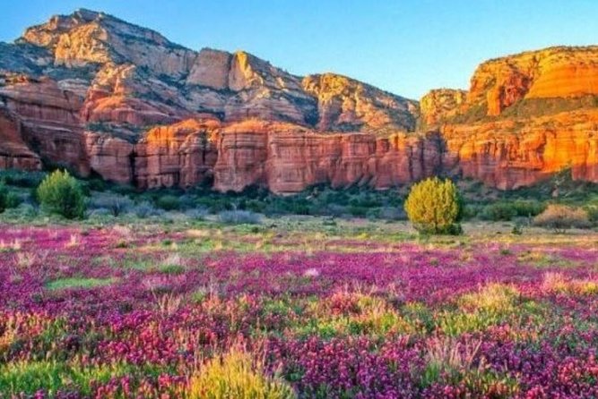 Scenic Sedona Tour - Arizona State Law Requirements