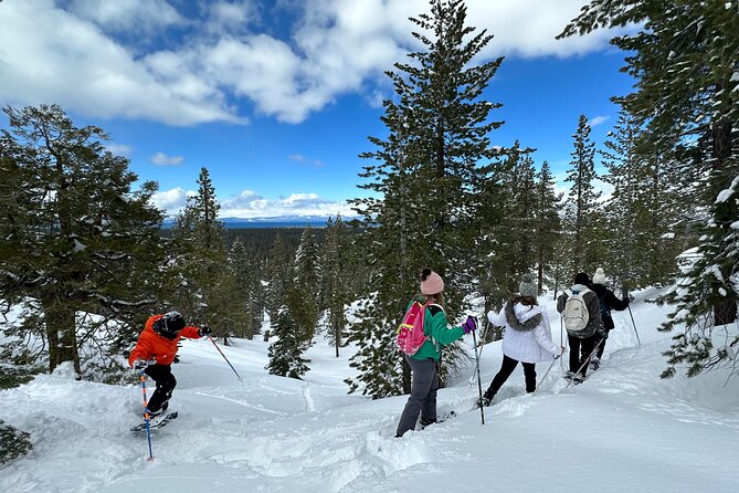 Scenic Snowshoe Adventure in South Lake Tahoe, CA - Accessibility and Fitness Level