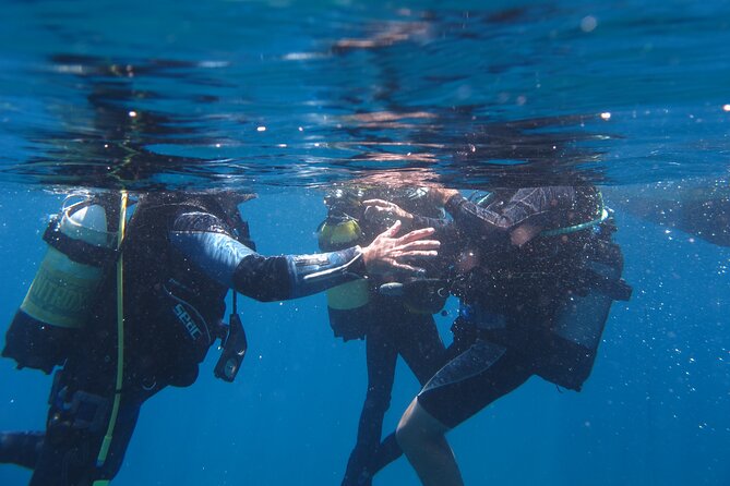 Scuba Diving Adventure in Santorini - Last Words