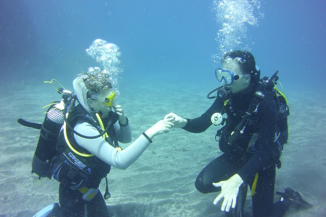 Scuba Diving Beginners Session in Costa Adeje - Participant Feedback and Instructor Excellence