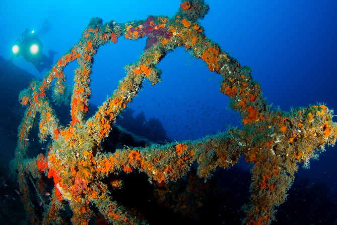 Scuba Diving in Calabria, Italy - Reviews and Ratings