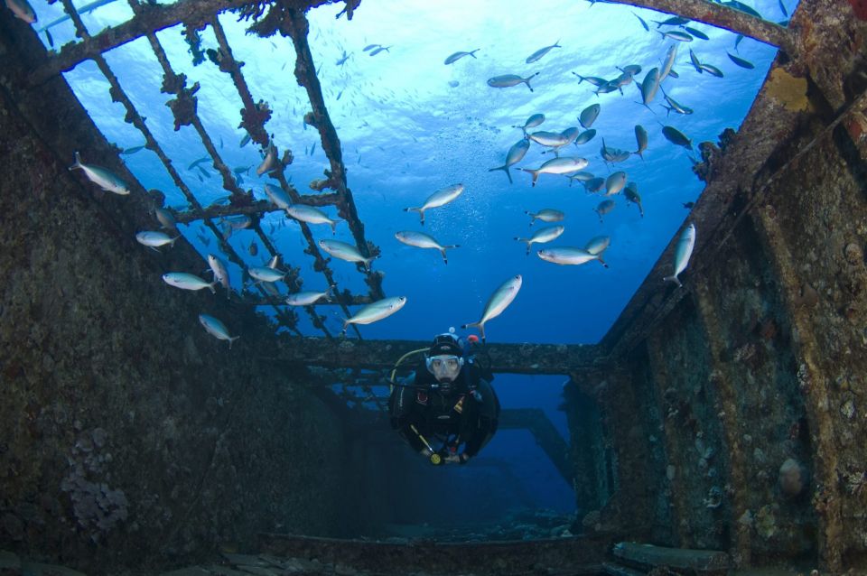 Scuba Diving in Hikkaduwa - Diving Season and Conditions