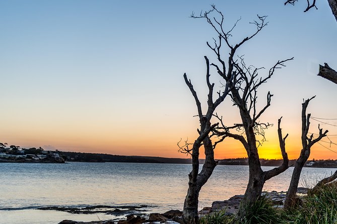 Sea Cliff Bridge, Blowhole, Beaches & Farmlands- Escape the City - Common questions