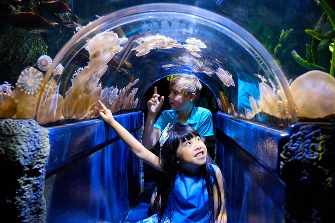 SEA LIFE Melbourne Aquarium Admission Ticket - Visitor Reviews and Viator History