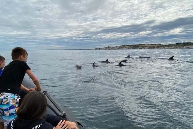 Sea Trip Along the Basque Coast, Departure From Saint-Jean-De-Luz - Customer Reviews