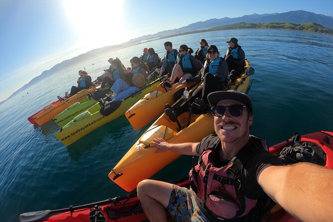 Seal Kayaking Adventure in Kaikoura - Environmental Awareness