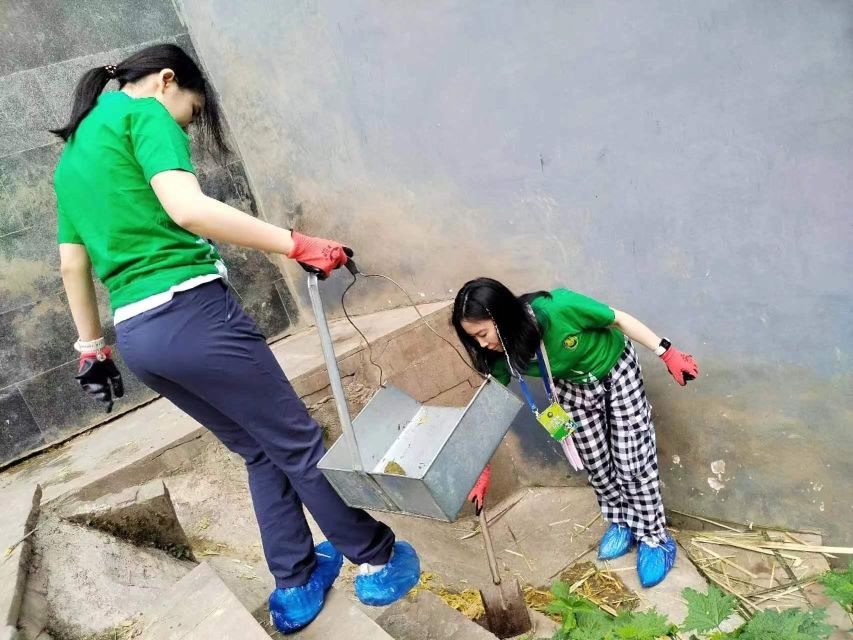 Sechuan: Big Panda Volunteer Day With Feeding and Bathing - Recommendations