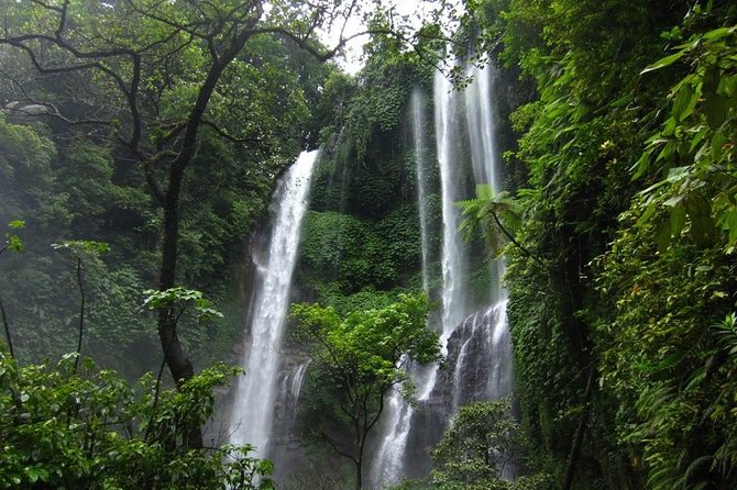 Sekumpul and Banyumala Waterfalls Hiking Tour (Private & All-Inclusive ) - Traveler Reviews and Ratings