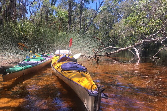 Self-Guided Noosa Everglades Kayak Tour - Booking and Payment Terms