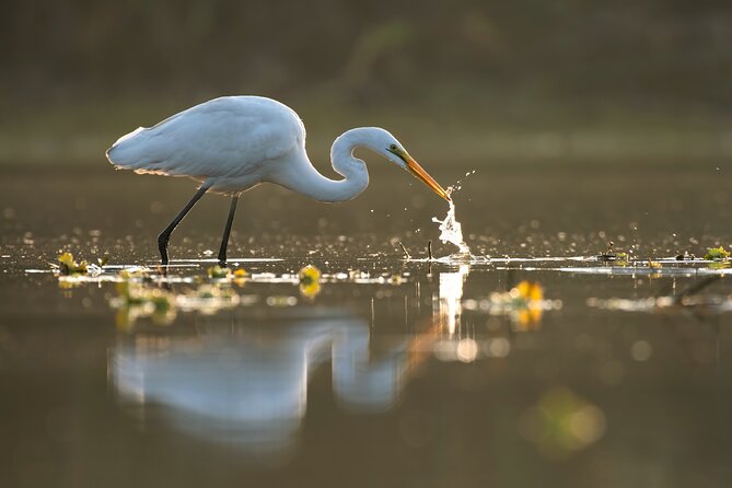 Serenity Cruise to Australias Everglades - Spiritual and Nature Experiences