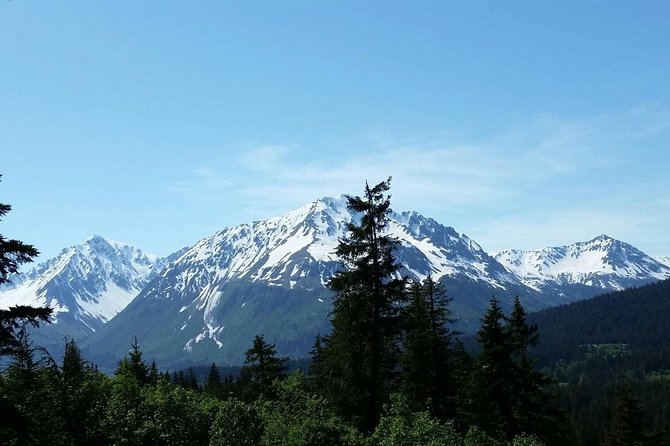 Seward Alaska Small-Group Ziplining Experience in Nature - Guide & Staff Appreciation