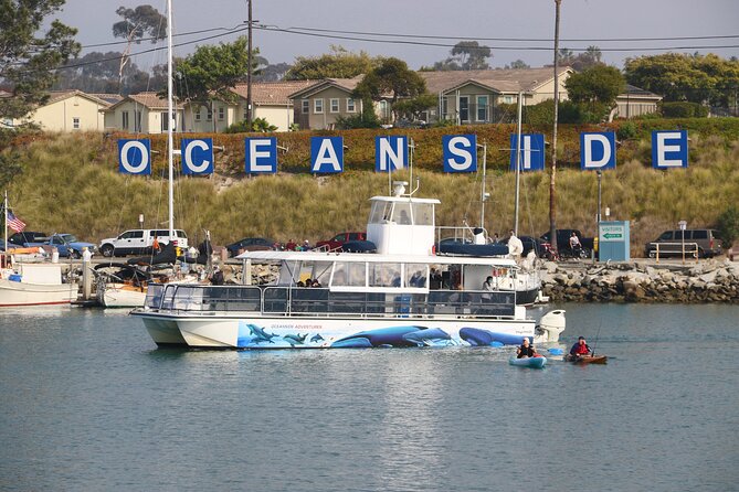 Shared Two-Hour Whale Watching Tour From Oceanside - Meeting Point Logistics