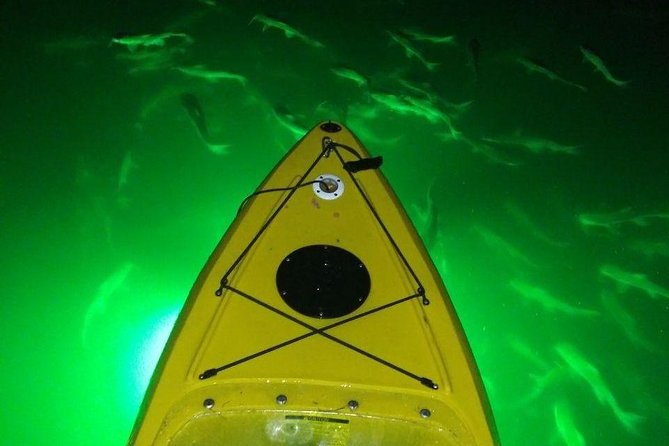 Sharkeys LED Illuminated Night Tour on Glass Bottom Kayaks in St. Pete Beach - Weather and Cancellation Policy