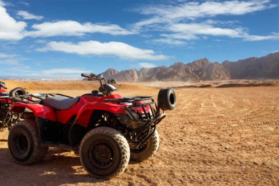 Sharm: Desert Adventures ATV, Buggy, Horse Ride & Camel Ride - Safety Guidelines