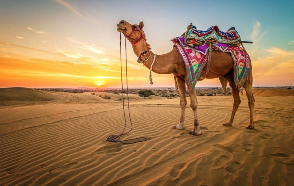 Sharm El Sheikh: ATV, Camel Ride With BBQ Dinner and Show - Directions