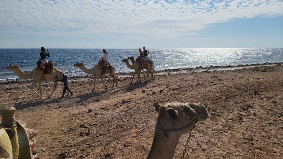 Sharm El Sheikh: Dahab, Canyon, Camel, and Snorkel Jeep Tour - Tour Inclusions