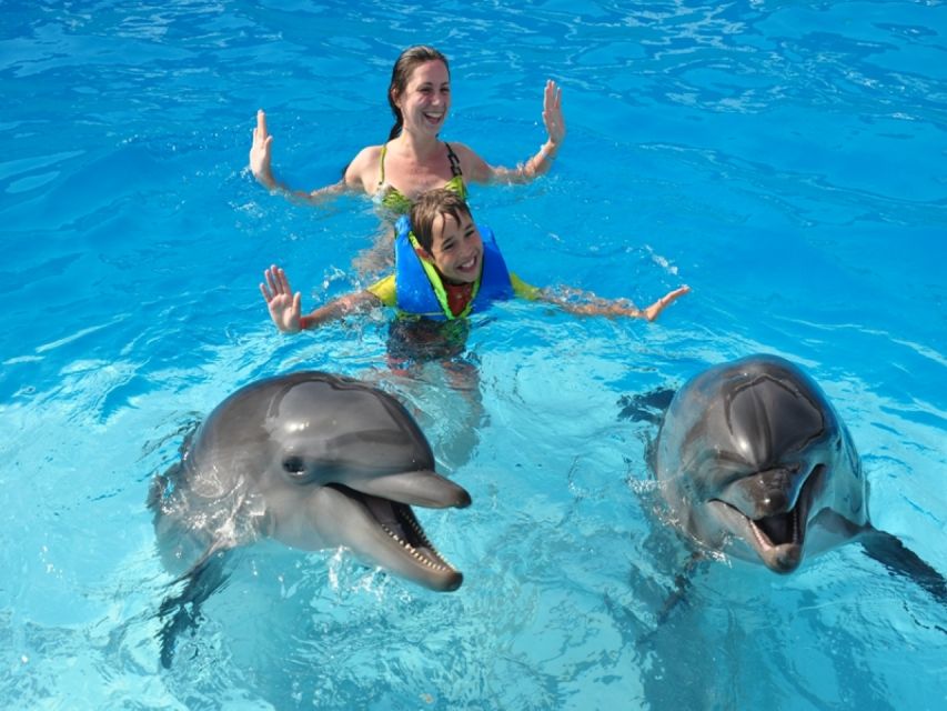 Sharm El-Sheikh: Dolphin Show & Optional Swimming W/Dolphins - Directions