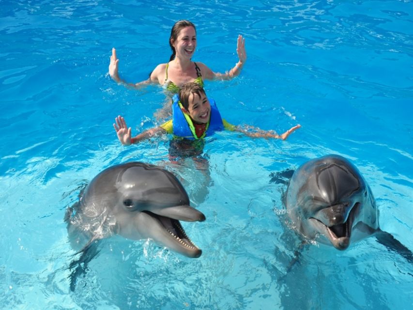 Sharm El-Sheikh: Dolphin Show & Optional Swimming W/Dolphins - Experience Highlights and Upgrades