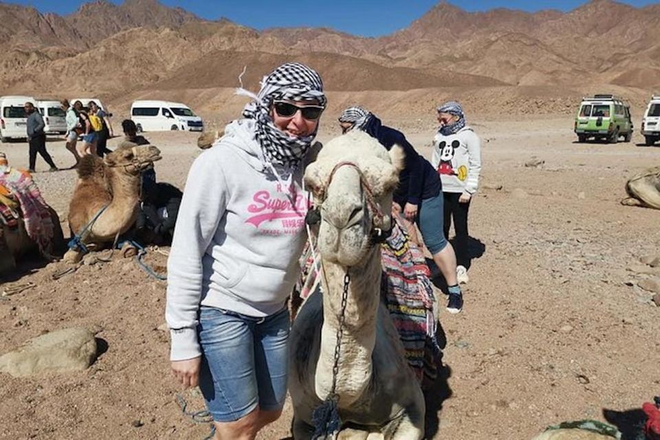 Sharm El-Sheikh: Parasailing, Camel Ride, Dive & Quad Bike - Booking Policies