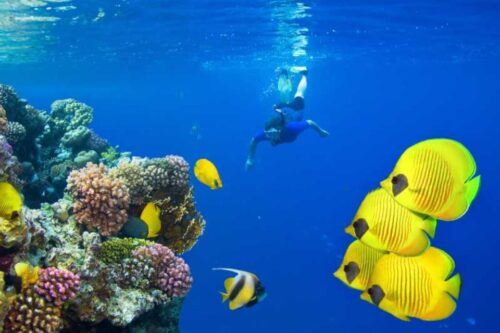 Sharm El Sheikh: Private Yacht Trip With Lunch and Drinks - Transportation Details