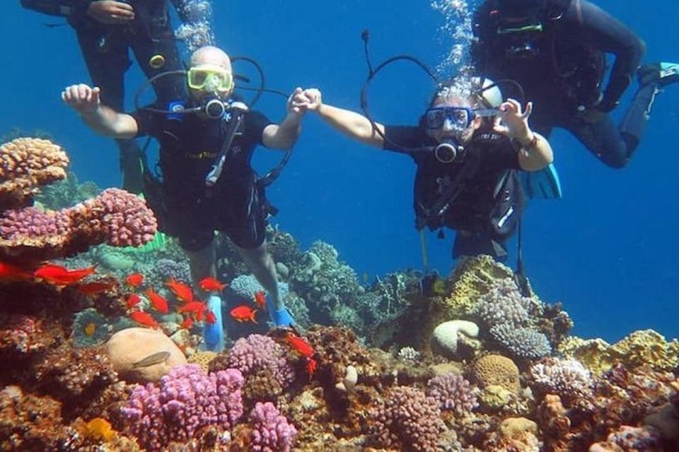Sharm El-Sheikh: Scuba Dive Introduction From the Shore - Diving Instructor Expertise