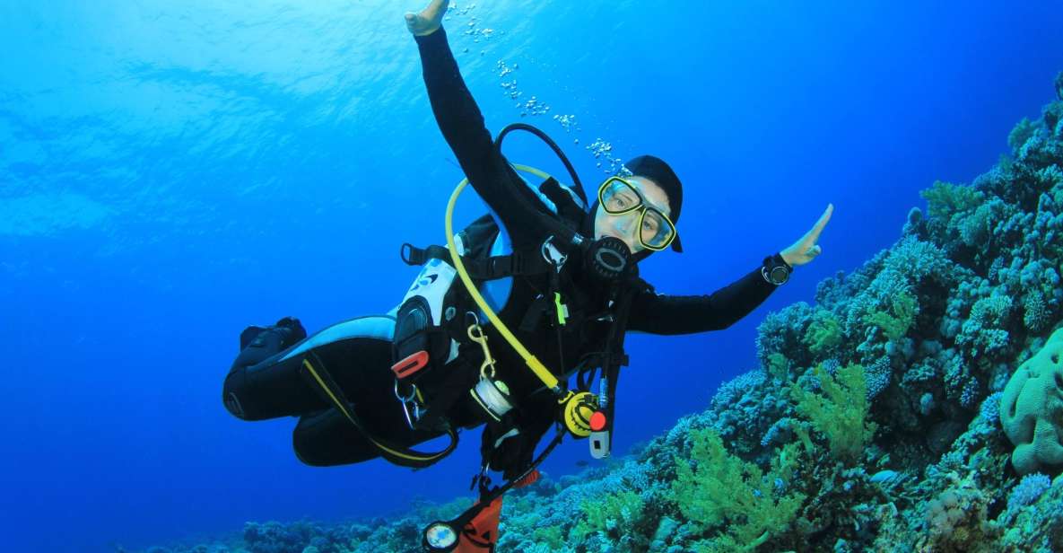 Sharm El Sheikh: Tiran Island Cruise Tour With Intro Dive - Transportation Options