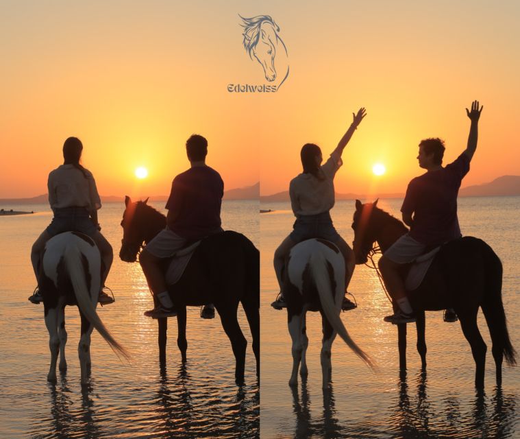 Sharm El Shiekh: Beach and Desert Horse Riding Tour - Tour Directions