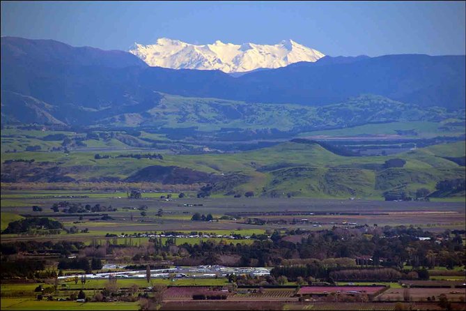 Shore Excursion: 4-Hour Discover Hawkes Bay and Napier Tour - Last Words