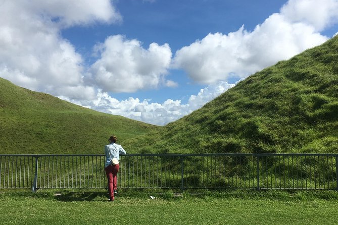 Shore Excursion: Half-Day Auckland Volcanoes Tour - Safety and Preparation