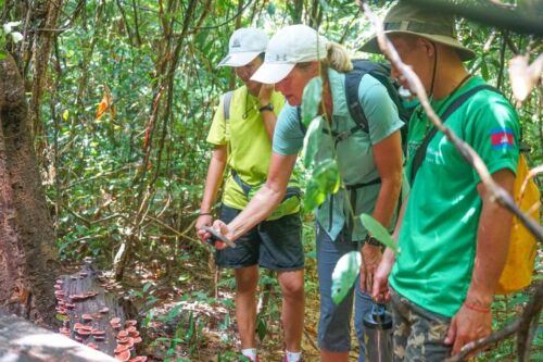 Siem Reap: 3-Day Guided Cycle Tour With Angkor Wat and Lunch - Important Information