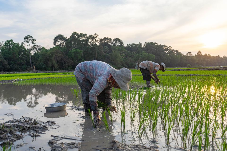 Siem Reap: Afternoon Cooking Class & Village Tour - Directions