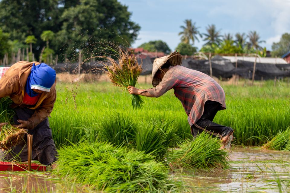 Siem Reap: Countryside Bike Tour With Guide and Local Snacks - Directions