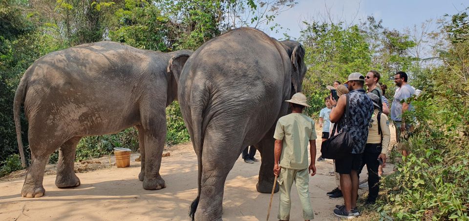 Siem Reap: Small Group Tour of Kulen Elephant Forest - Directions