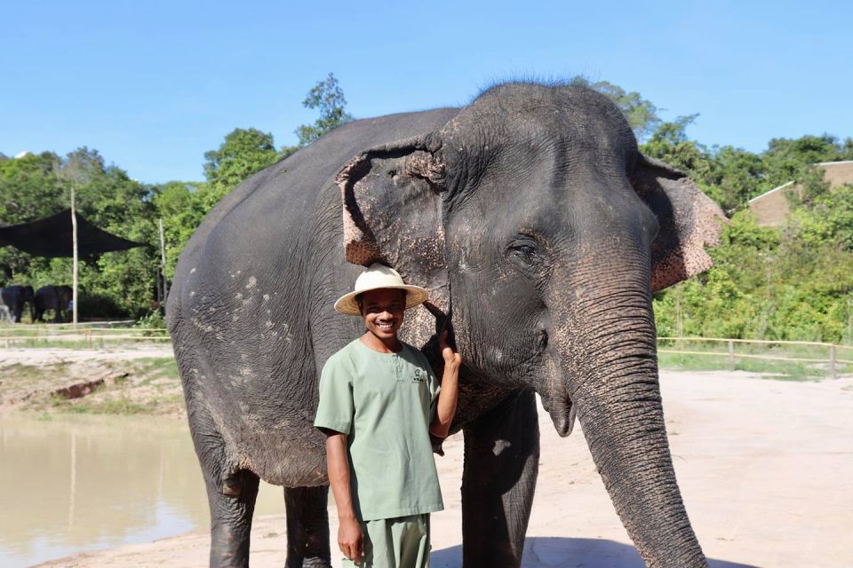 Siem Reap: Small Group Tour of Kulen Elephant Forest - Reservation Process