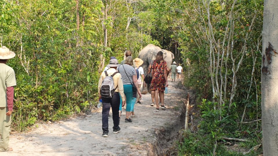 Siem Reap: Small Group Tour of Kulen Elephant Forest - Booking and Reservation