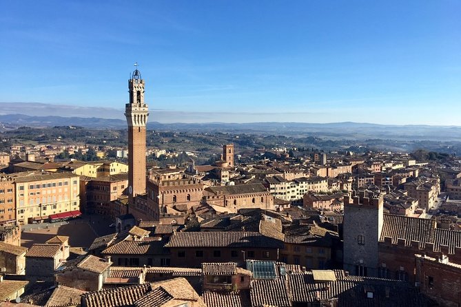 Siena Tour and Exclusive Window on Piazza Del Campo - Contact Information