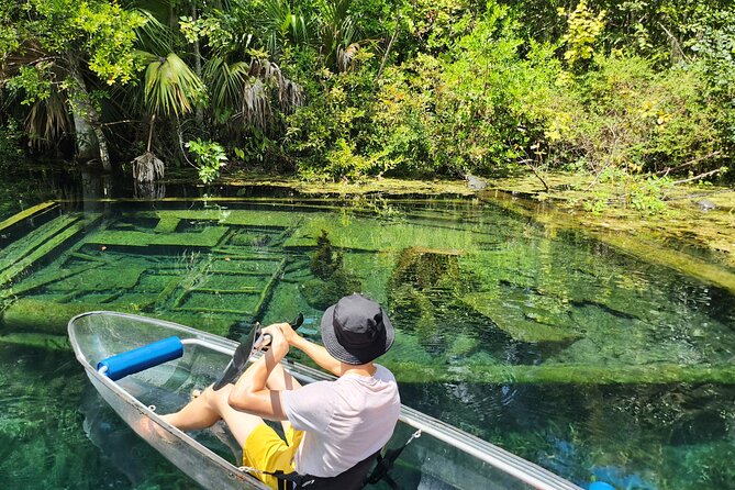 Silver Springs Clear Kayak Or Paddle Board Wildlife Tour (Mar ) - Last Words