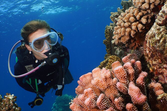 Silversonic Outer Great Barrier Reef Dive and Snorkel Cruise From Port Douglas - Safety Guidelines