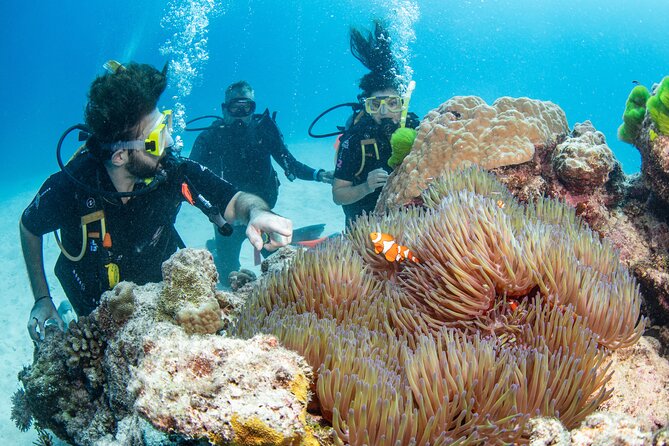 Silverswift Dive & Snorkel Great Barrier Reef Cruise From Cairns - Weather Contingency and Cancellation Policy