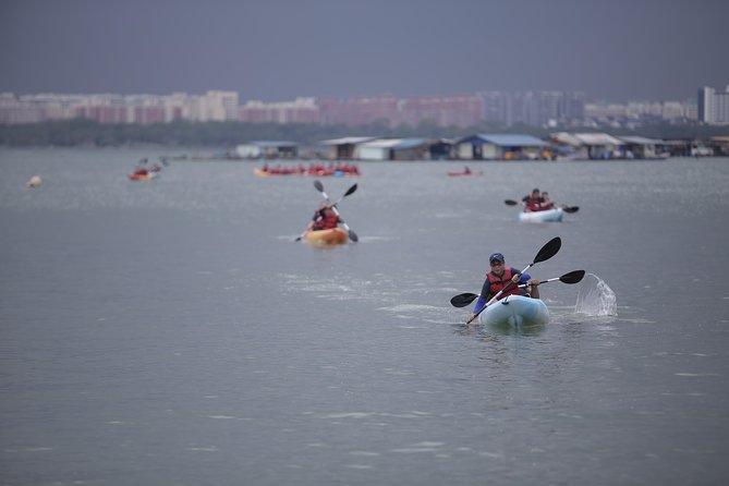 Singapore Paddle to Pedal Adventure in Pulau Ubin - Tips for a Memorable Experience