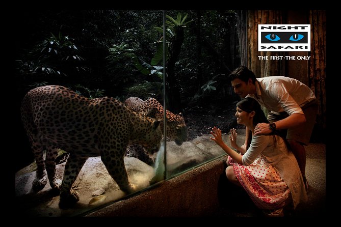 Singapore Zoo Night Safari Walk, Tram With Dinner Option - Tour Logistics and Accessibility