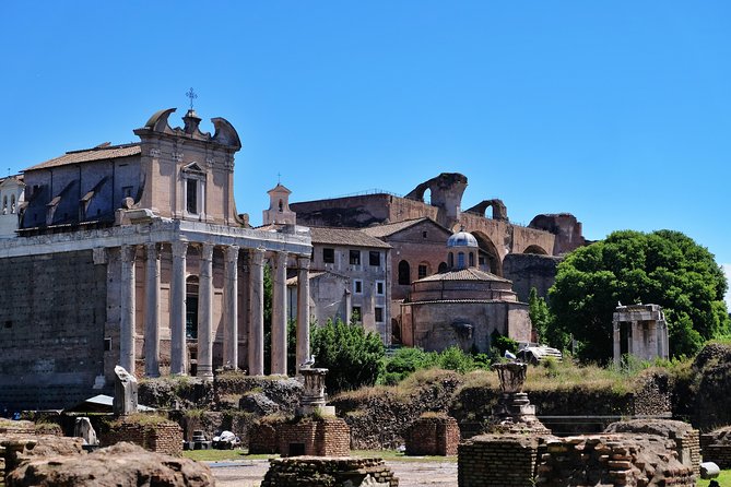 Skip the Line: Colosseum, Roman Forum, and Palatine Hill Tour - Positive Feedback and Guide Recognition