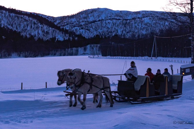 Sleigh Ride W/ Snacks - Experience Arctic Farm Life - Customer Reviews and Recommendations