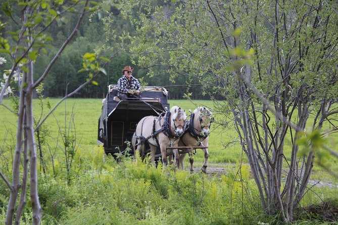 Sleigh Ride W/ Tapas Meal - Experience Arctic Farm Life - Common questions