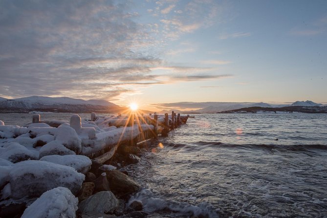 Small-Group Arctic Sightseeing Tour With Citizen Science From Tromso - Tour Details