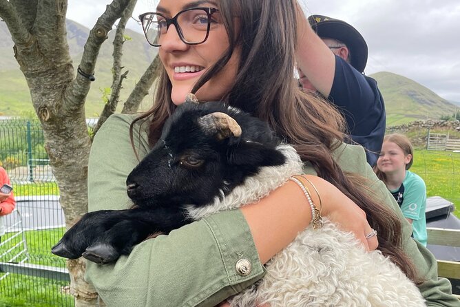 Small Group Aughnanure Castle, Sheepdog Demo & Connemara Tour - Reviews and Booking Information